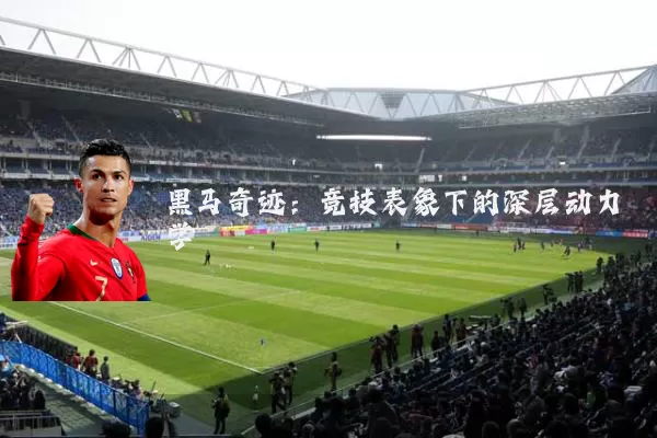黑马奇迹：竞技表象下的深层动力学